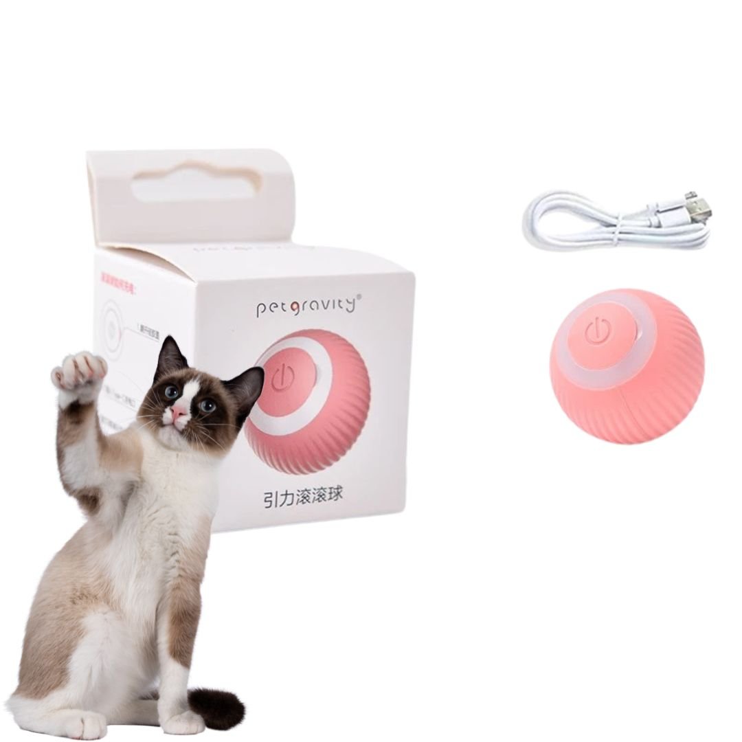 Brinquedo interativo bolinha rolante automática para gatos - Cuidarte Integral