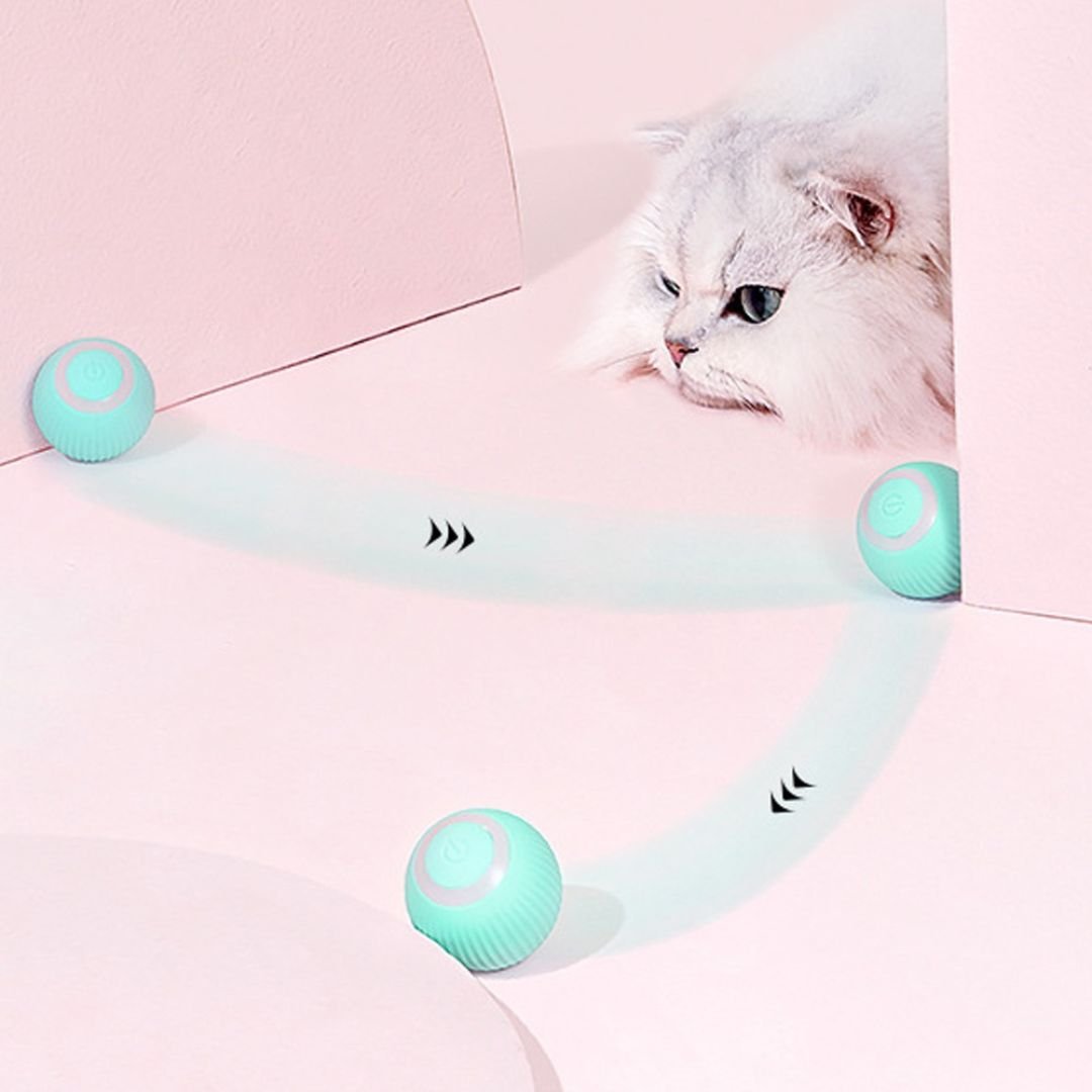 Brinquedo interativo bolinha rolante automática para gatos - Cuidarte Integral