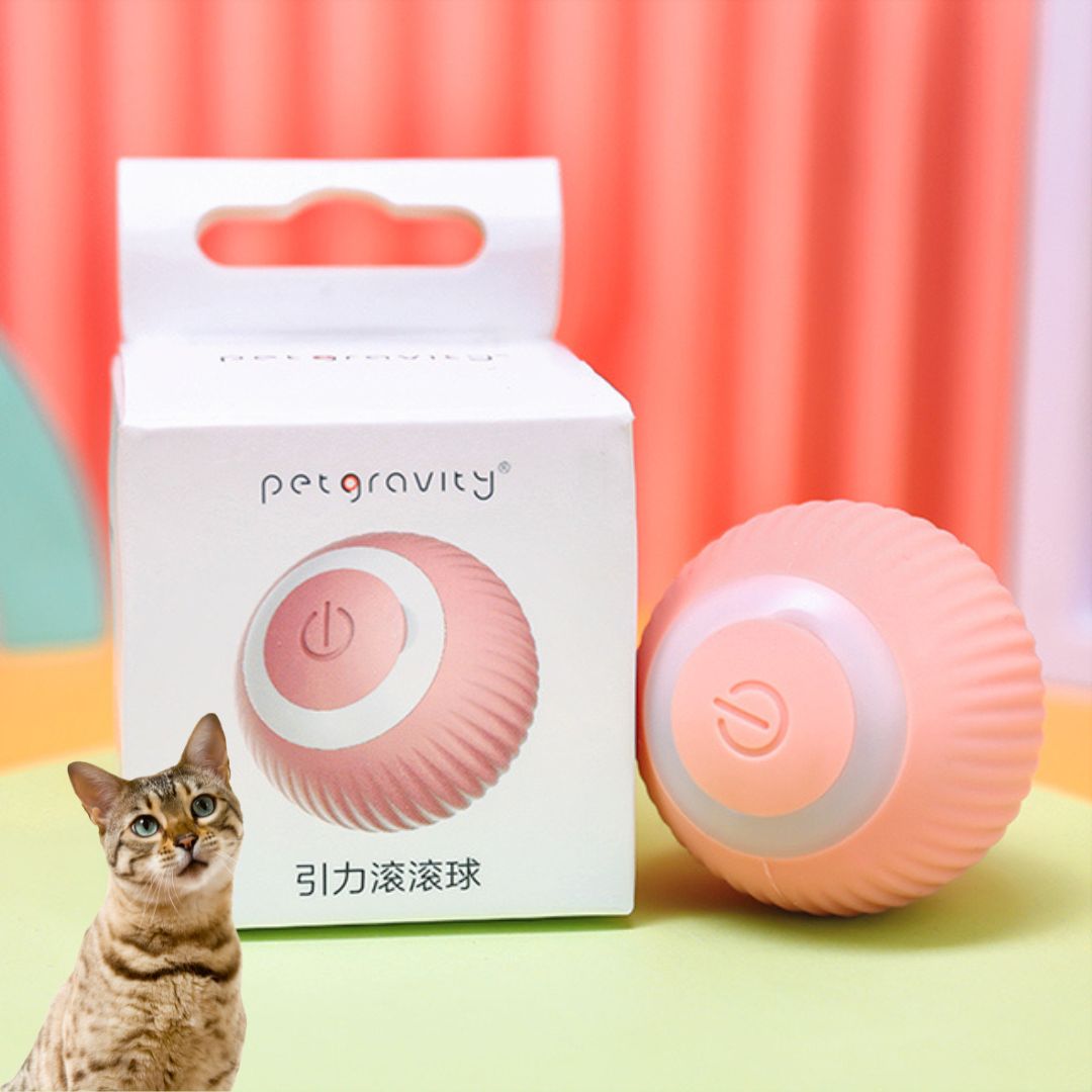 Brinquedo interativo bolinha rolante automática para gatos - Cuidarte Integral