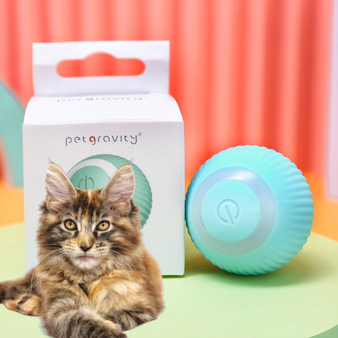 Brinquedo interativo bolinha rolante automática para gatos - Cuidarte Integral