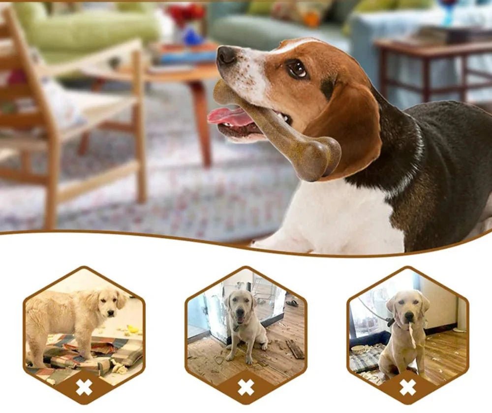 Osso eco - friendly para cachorros pequeno, médio e grande porte - Cuidarte Integral